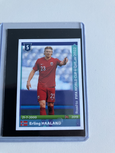 Produkt: Haaland Road to WM 2022