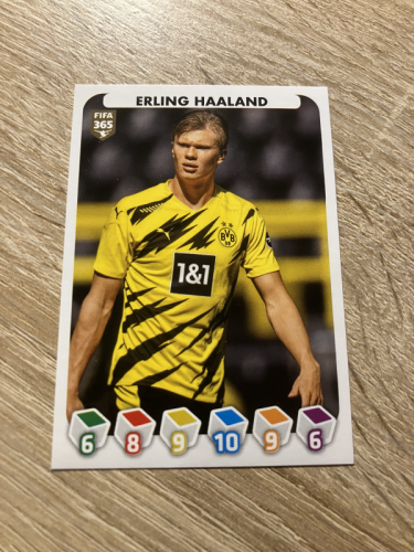 Produkt: Haaland FIFA 365 2021 Nr. 208