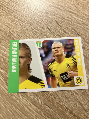 Produkt: Haaland Top Class 2022 Nr. 279