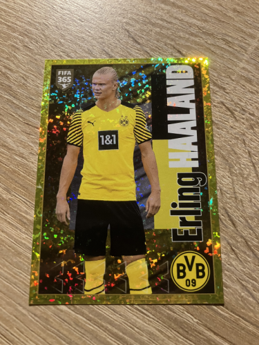 Produkt: Haaland FIFA 365 2022 BVB Nr. 210
