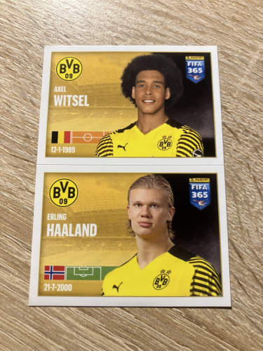 Produkt: Haaland FIFA 365 2022 mit Witsel