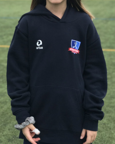 Produkt: ZSHT Hoodie, Grösse L (männlich)